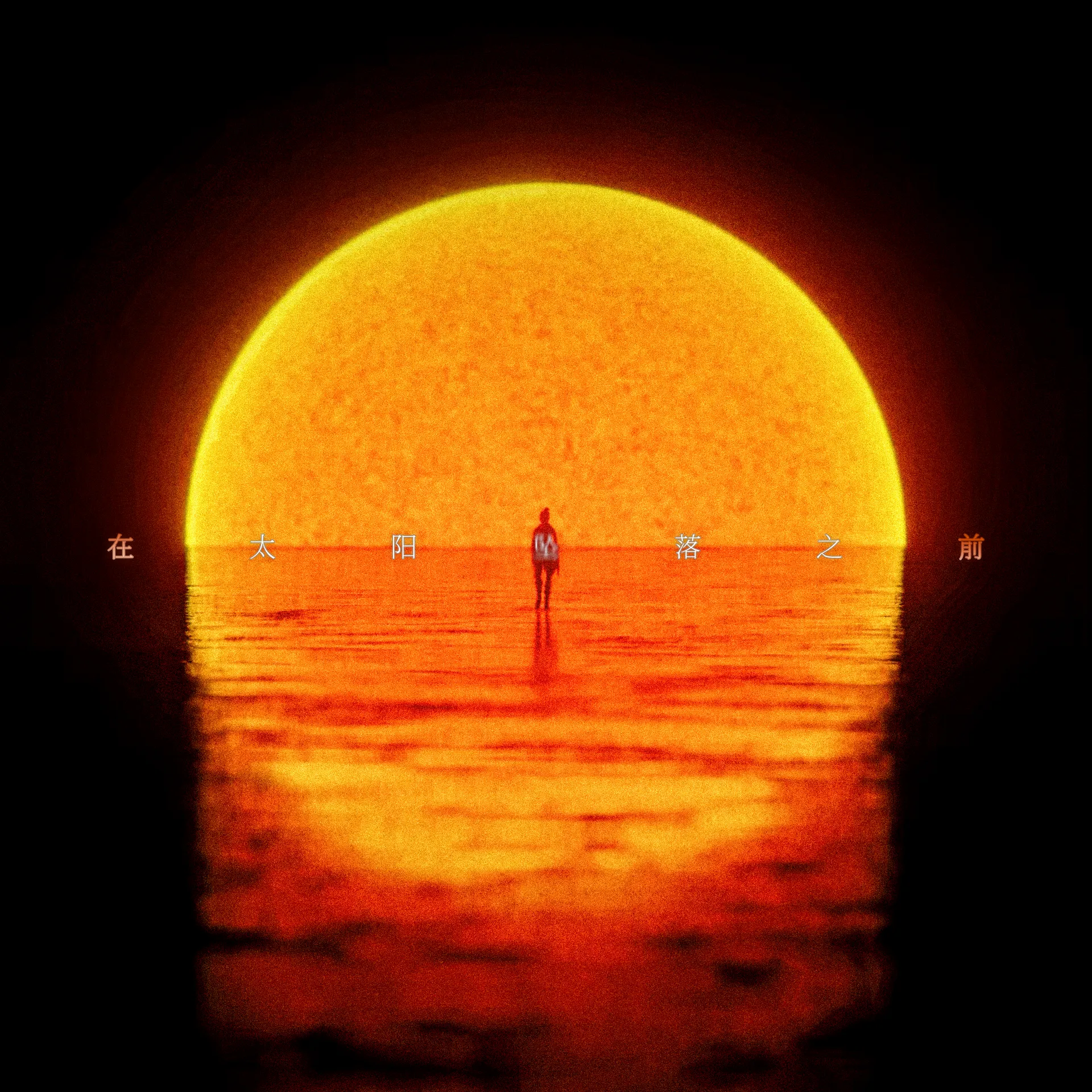 在太阳坠落之前 